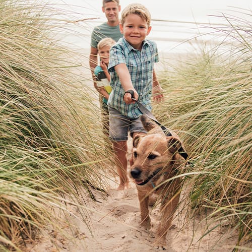 The ultimate guide to dog-friendly beaches in Norfolk