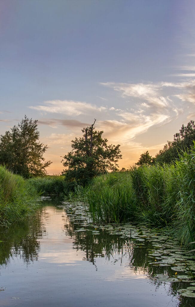 Norfolk country holiday cottages