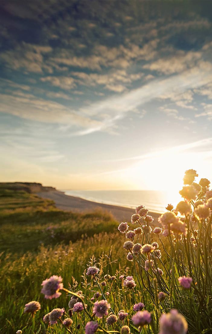 Norfolk holiday cottages that sleep 6 people